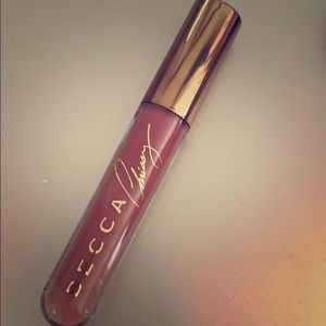 Becca and Chrissy Teigan collab .